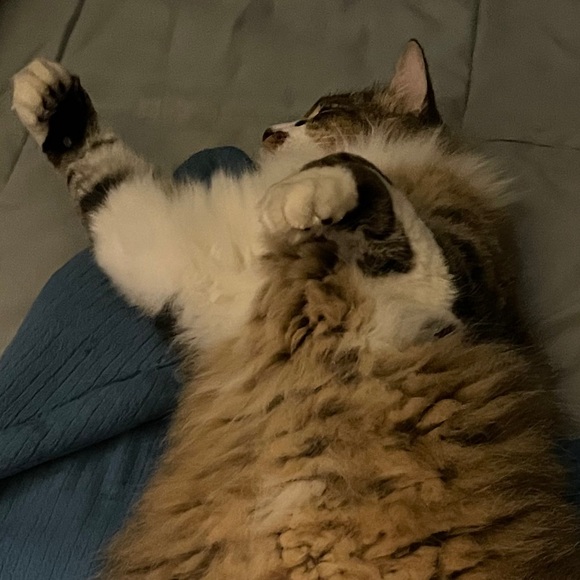 Meet your Posher, Derek - Picture 1 of 1